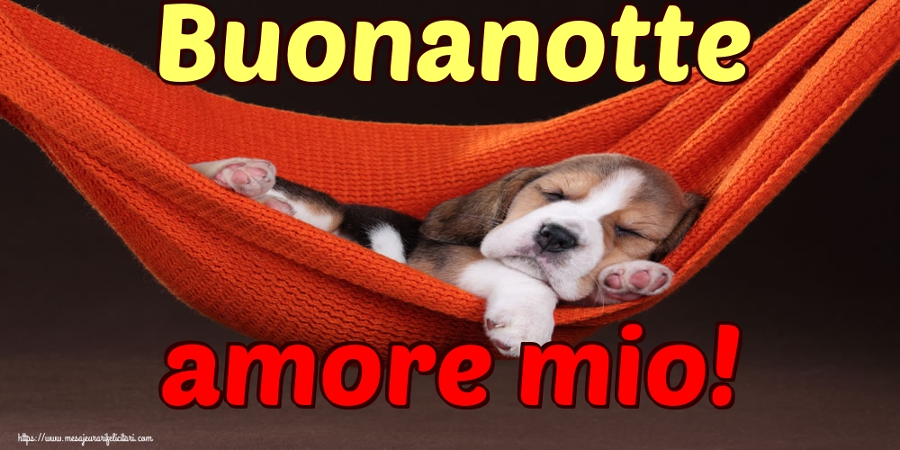 Felicitari de noapte buna in Italiana - Buonanotte amore mio!