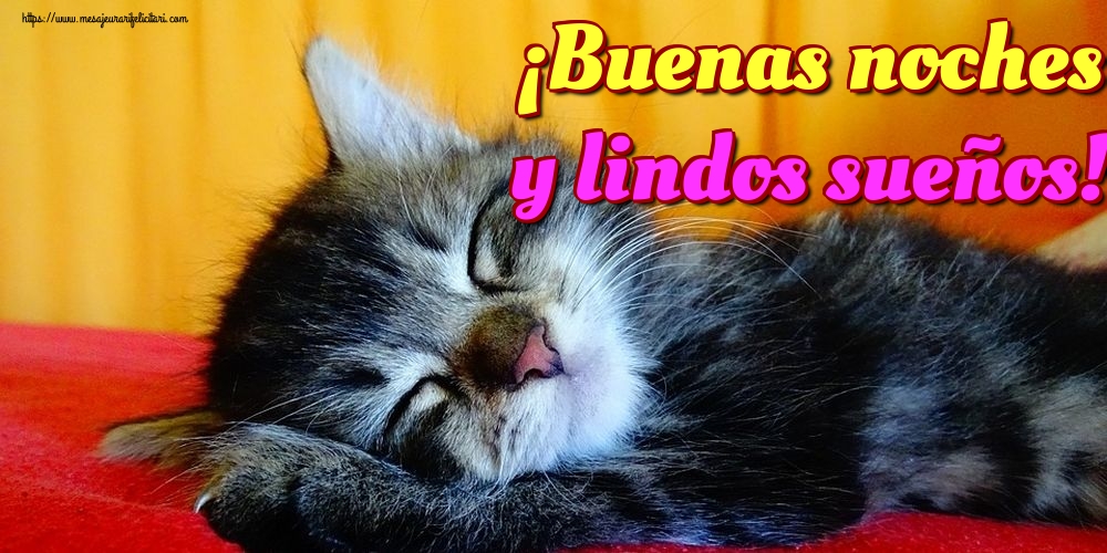 Felicitari de noapte buna in Spaniola - ¡Buenas noches y lindos sueños!