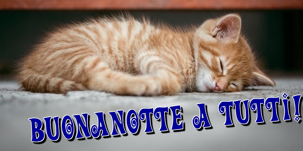 Felicitari de noapte buna in Italiana - Buonanotte a tutti!