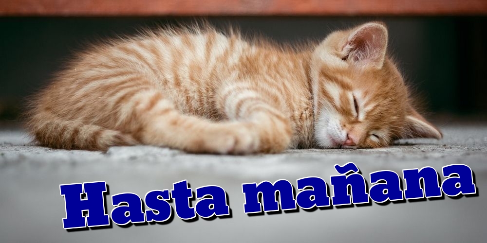 Felicitari de noapte buna in Spaniola - Hasta mañana