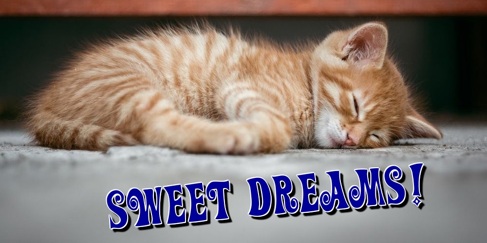 Felicitari de noapte buna in Engleza - Sweet dreams!