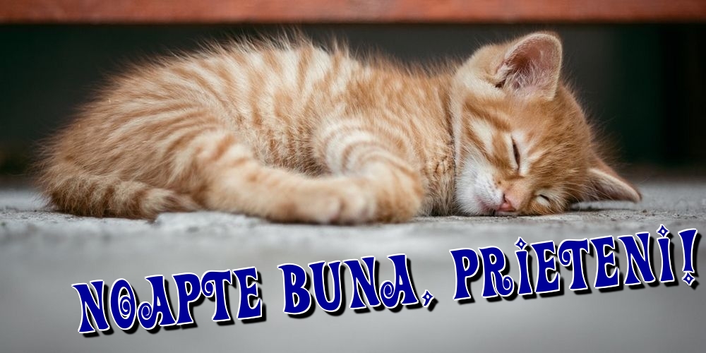 Felicitari de noapte buna - Noapte buna, prieteni! - mesajeurarifelicitari.com