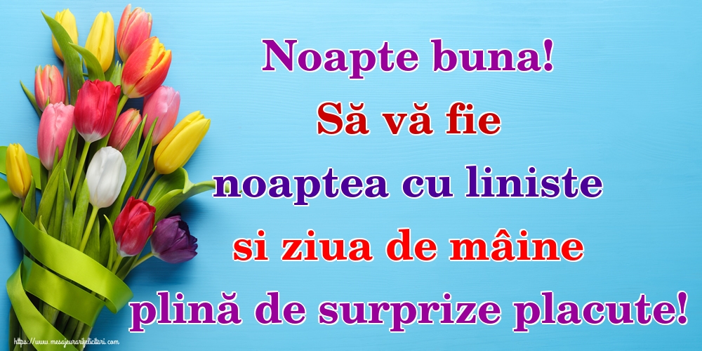 Noapte buna! Să vă fie noaptea cu liniste si ziua de mâine plină de surprize placute!