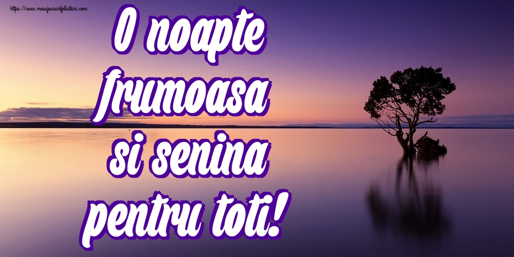 Felicitari de noapte buna - O noapte frumoasa si senina pentru toti! - mesajeurarifelicitari.com