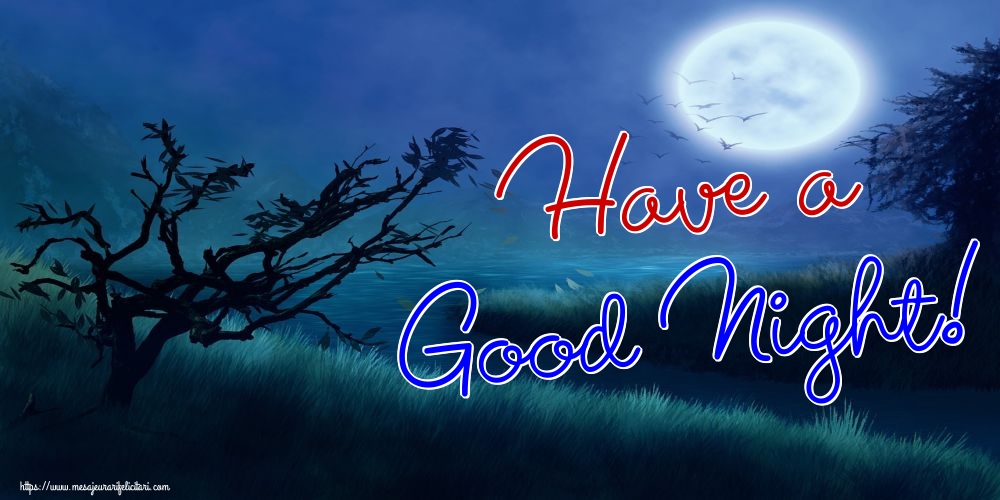 Felicitari de noapte buna in Engleza - Have a Good Night!