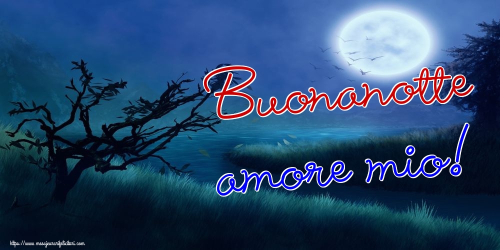 Felicitari de noapte buna in Italiana - Buonanotte amore mio!
