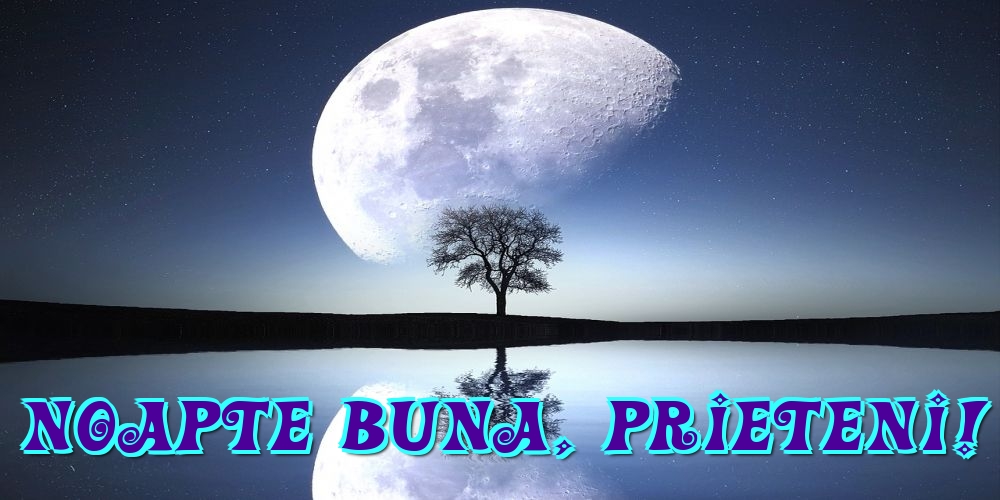 Noapte buna, prieteni!