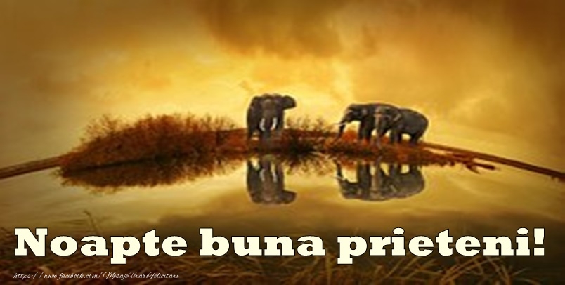Felicitari de noapte buna - Noapte buna prieteni! - mesajeurarifelicitari.com