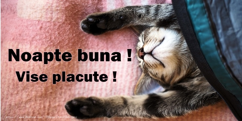 Felicitari de noapte buna - Noapte buna, vise placute! - mesajeurarifelicitari.com