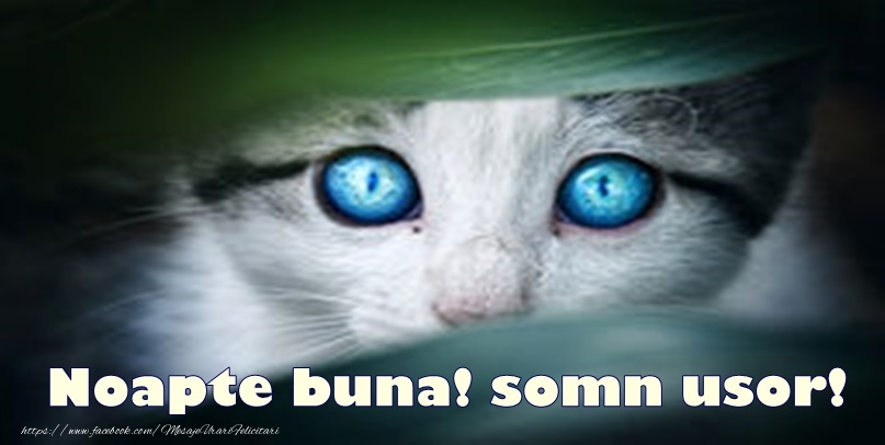 Felicitari de noapte buna - Noapte buna! somn usor! - mesajeurarifelicitari.com