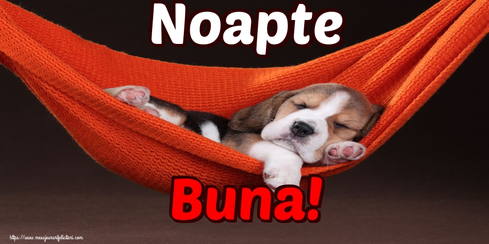 Noapte Buna!