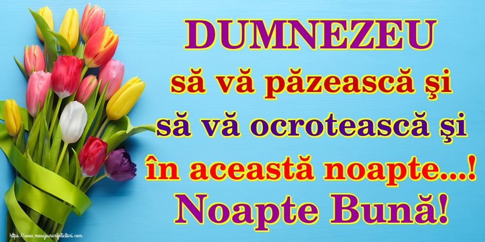 DUMNEZEU să vă păzească şi să vă ocrotească şi în această noapte...! Noapte Bună!
