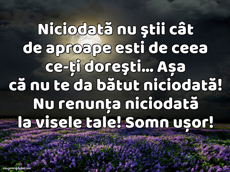 Felicitari de noapte buna - Somn ușor! - mesajeurarifelicitari.com