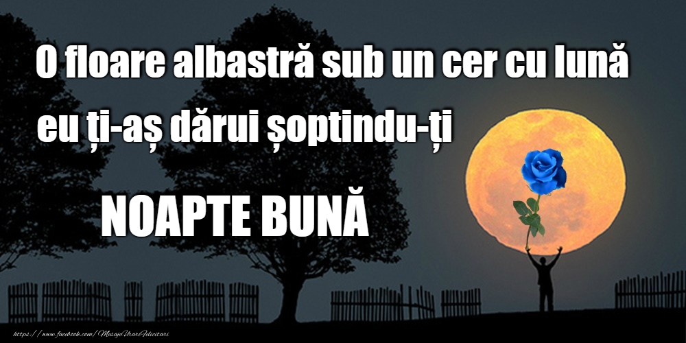Felicitari de noapte buna - Noapte bună! - mesajeurarifelicitari.com