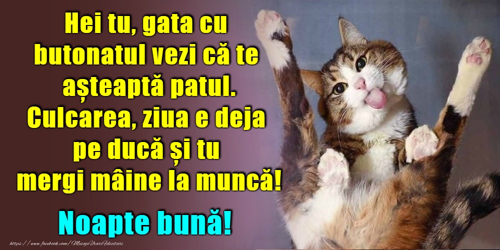 Noapte bună!