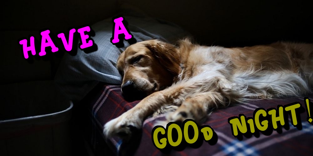 Felicitari de noapte buna in Engleza - Have a Good Night!