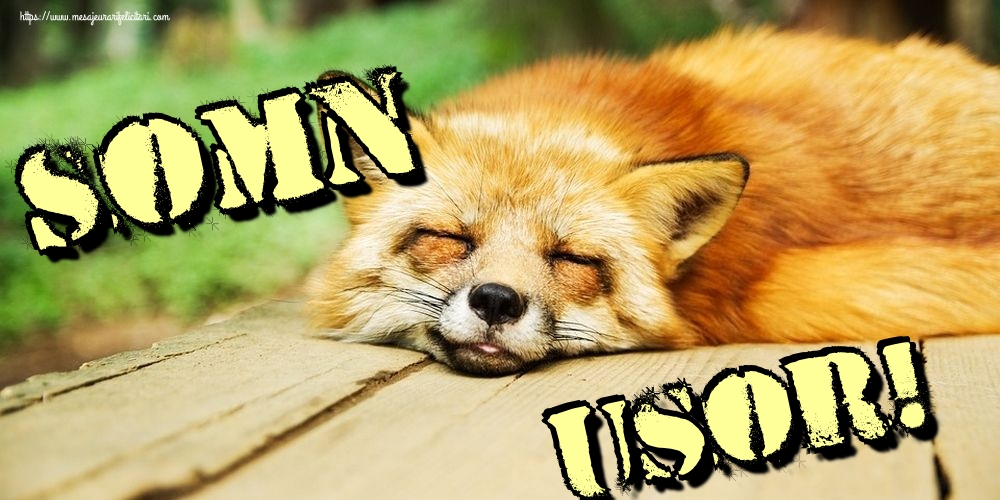 Felicitari de noapte buna - Somn usor! - mesajeurarifelicitari.com