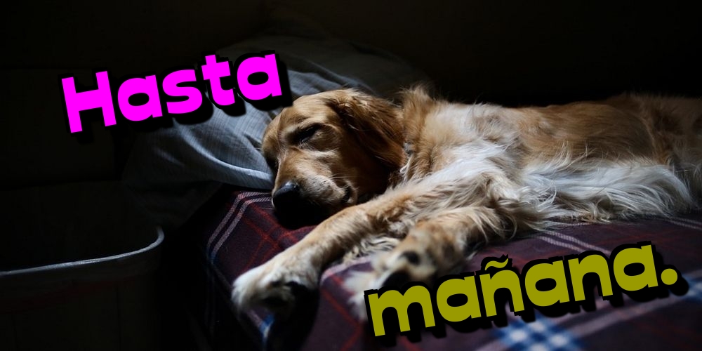 Felicitari de noapte buna in Spaniola - Hasta mañana.