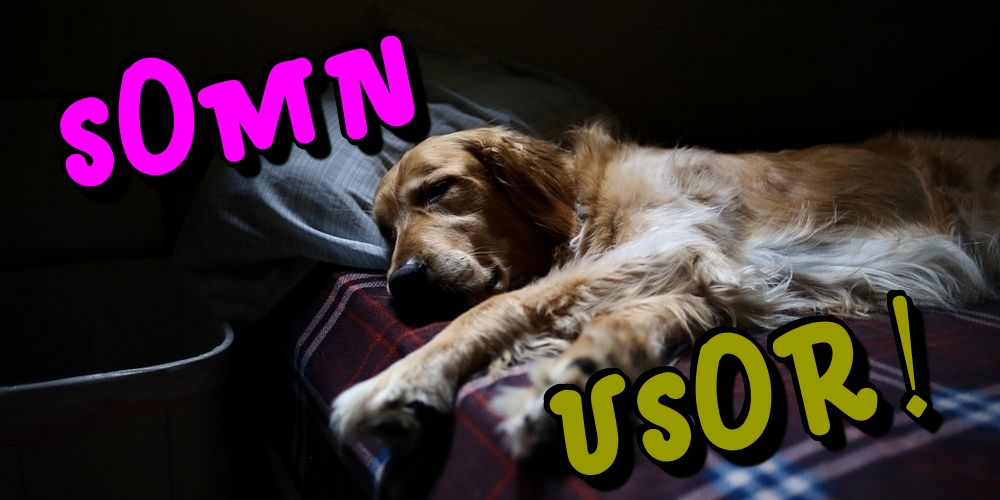 Felicitari de noapte buna - Somn usor! - mesajeurarifelicitari.com