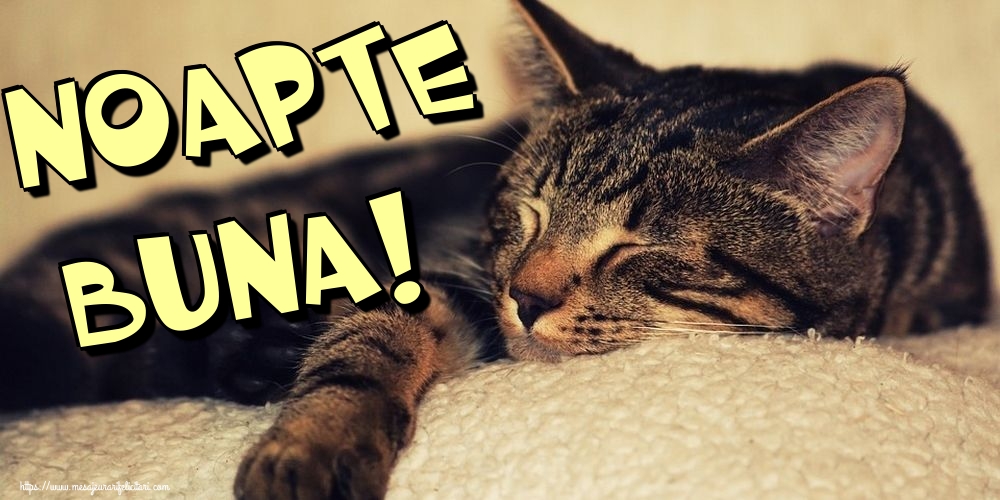 Felicitari de noapte buna - Noapte Buna! - mesajeurarifelicitari.com