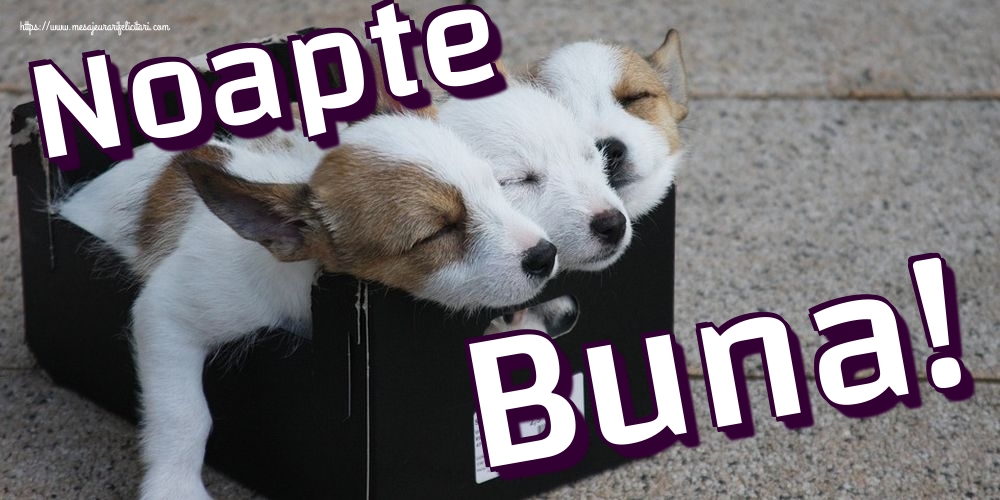 Noapte Buna!