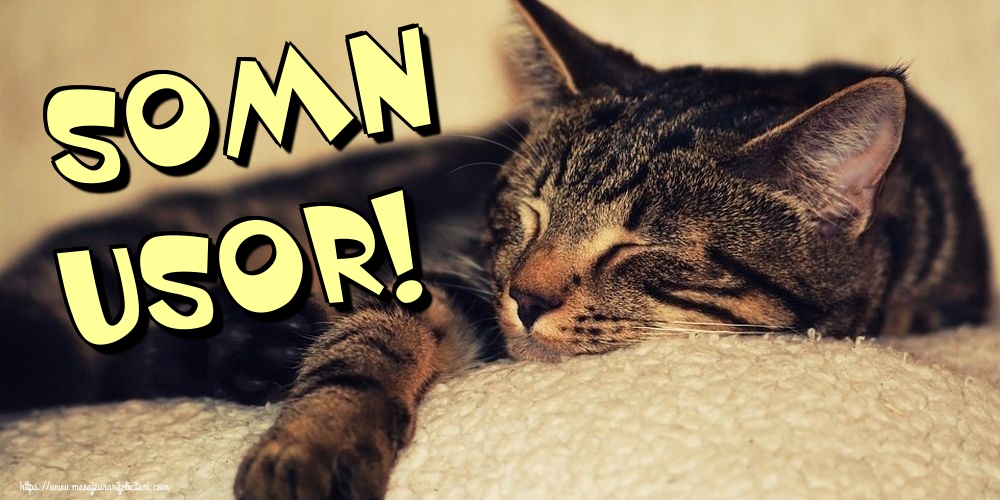 Felicitari de noapte buna - Somn usor! - mesajeurarifelicitari.com