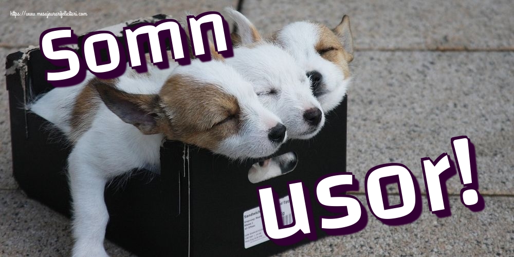 Felicitari de noapte buna - Somn usor! - mesajeurarifelicitari.com