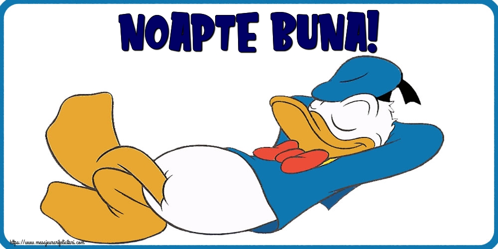 Noapte buna!