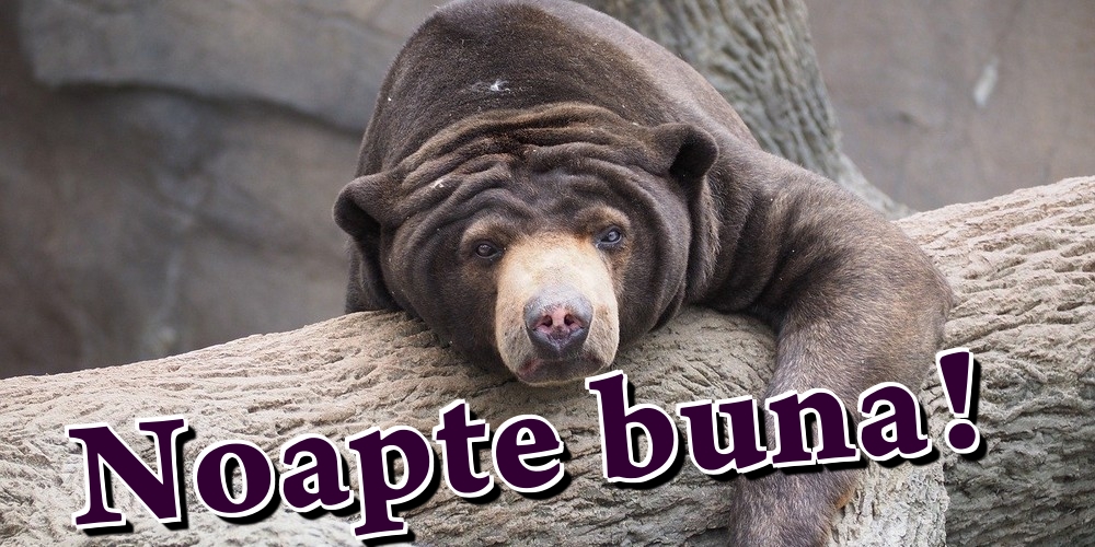 Felicitari de noapte buna - Noapte buna! - mesajeurarifelicitari.com