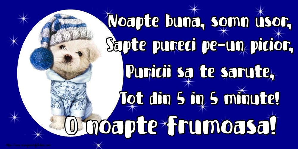 Felicitari de noapte buna - Noapte buna, somn usor, Sapte pureci pe-un picior, Puricii sa te sarute, Tot din 5 in 5 minute! O noapte frumoasa! - mesajeurarifelicitari.com