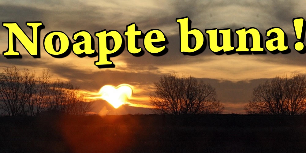 Noapte buna!