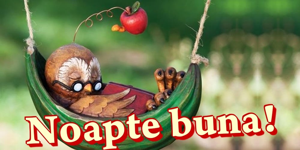 Noapte buna!