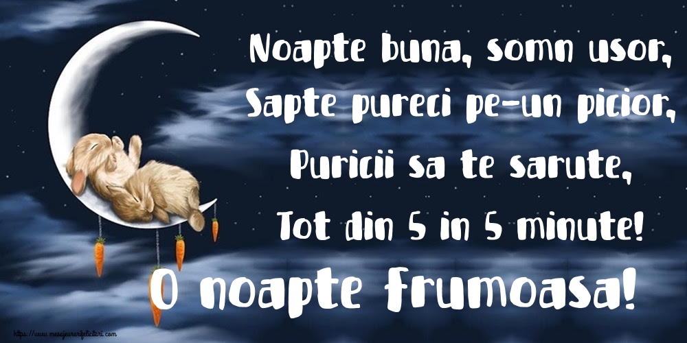Felicitari de noapte buna - Noapte buna, somn usor, Sapte pureci pe-un picior, Puricii sa te sarute, Tot din 5 in 5 minute! O noapte frumoasa! - mesajeurarifelicitari.com