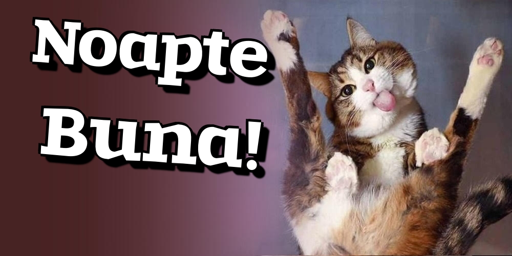 Felicitari de noapte buna - Noapte Buna! - mesajeurarifelicitari.com