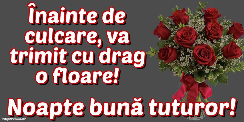 Noapte bună tuturor!