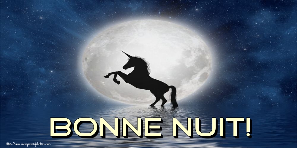 Felicitari de noapte buna in Franceza - Bonne Nuit!