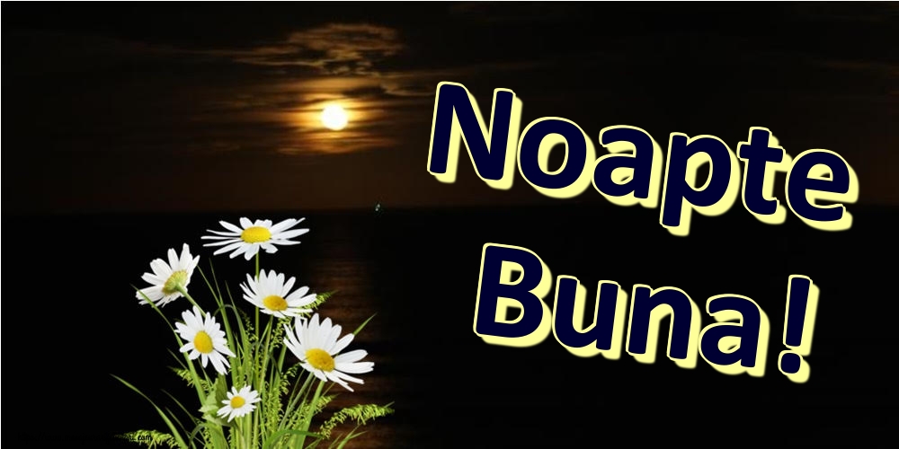 Noapte Buna!