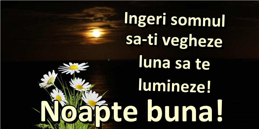 Ingeri somnul sa-ti vegheze luna sa te lumineze! Noapte buna!