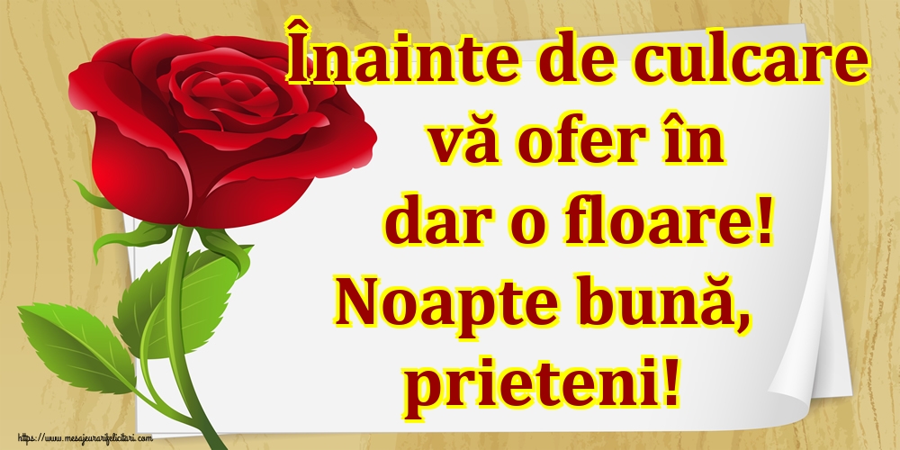 Înainte de culcare vă ofer în dar o floare! Noapte bună, prieteni!