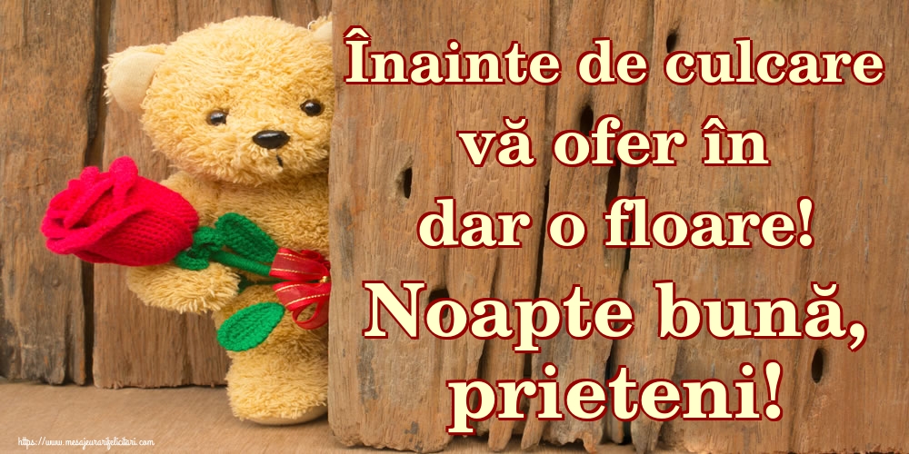 Înainte de culcare vă ofer în dar o floare! Noapte bună, prieteni!