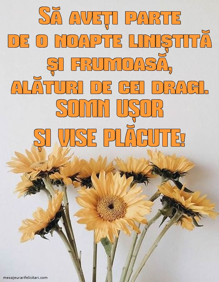 Somn ușor și vise plăcute!