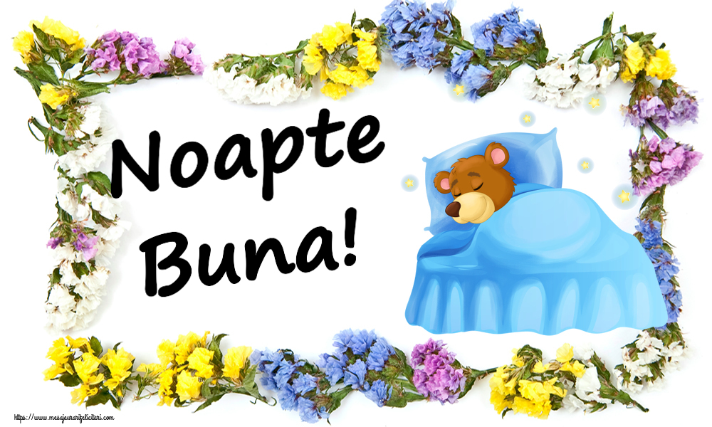Noapte Buna!