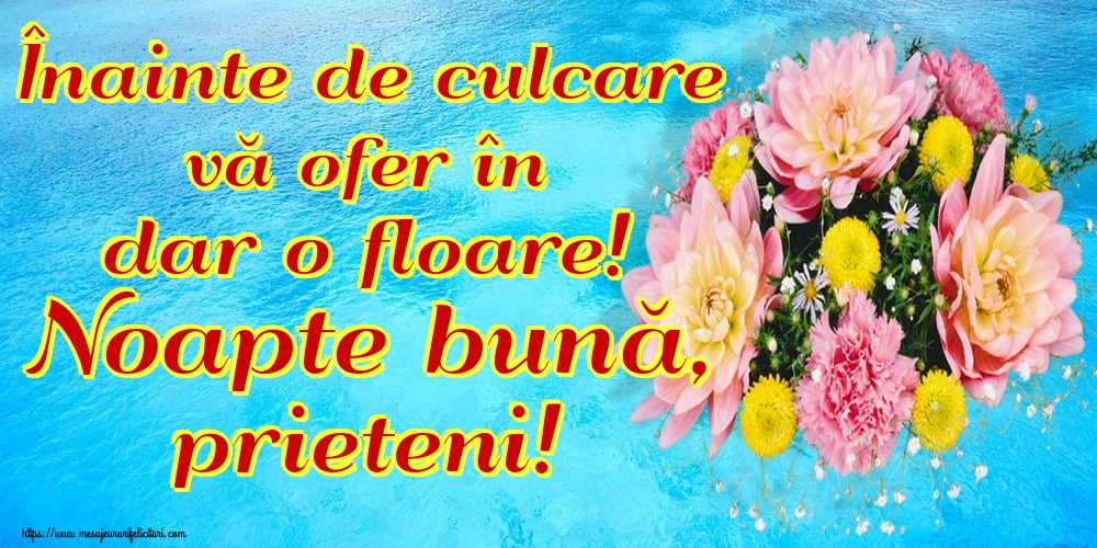 Înainte de culcare vă ofer în dar o floare! Noapte bună, prieteni!