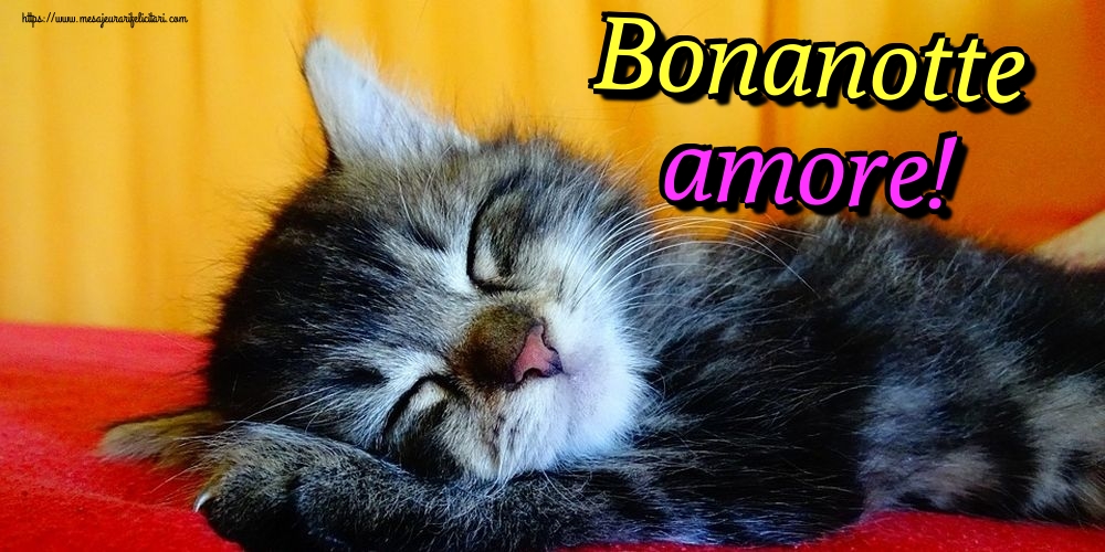 Felicitari de noapte buna in Italiana - Bonanotte amore!