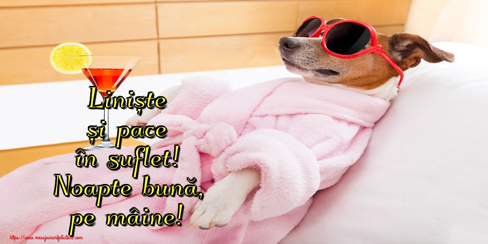 Liniște și pace în suflet! Noapte bună, pe mâine!