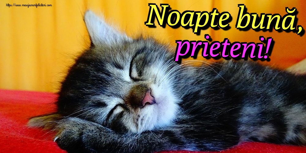 Noapte bună, prieteni!