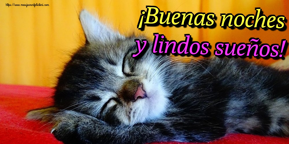 Felicitari de noapte buna in Spaniola - ¡Buenas noches y lindos sueños!