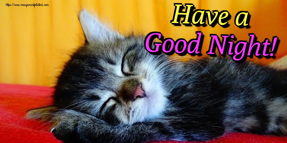Noapte buna in Engleza - Have a Good Night!