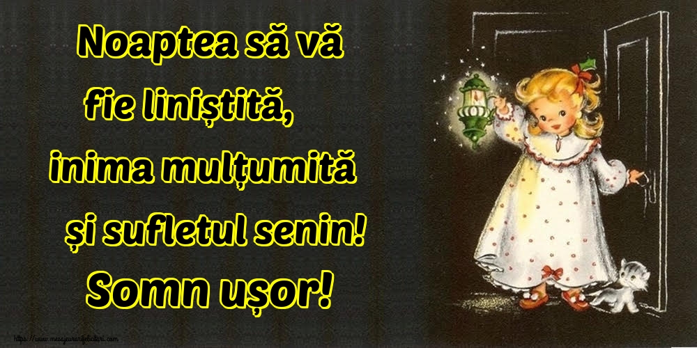 Noaptea să vă fie liniștită, inima mulțumită și sufletul senin! Somn ușor!
