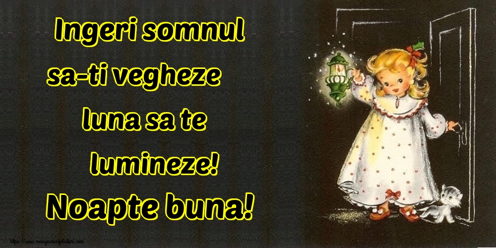 Ingeri somnul sa-ti vegheze luna sa te lumineze! Noapte buna!